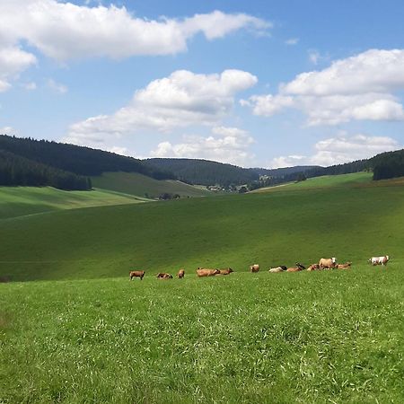 شقة Haus Zum Sternen Vöhrenbach المظهر الخارجي الصورة