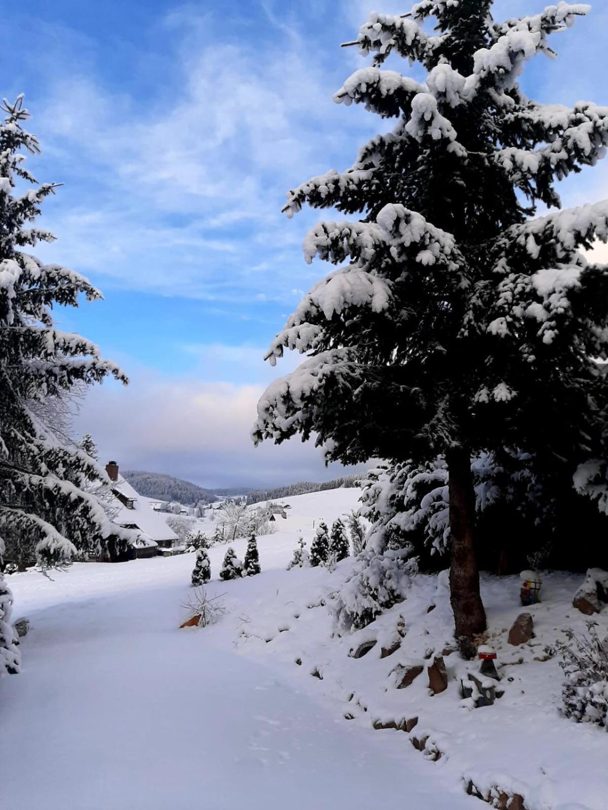 شقة Haus Zum Sternen Vöhrenbach المظهر الخارجي الصورة