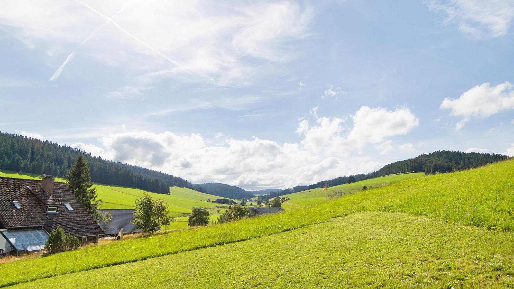 شقة Haus Zum Sternen Vöhrenbach المظهر الخارجي الصورة