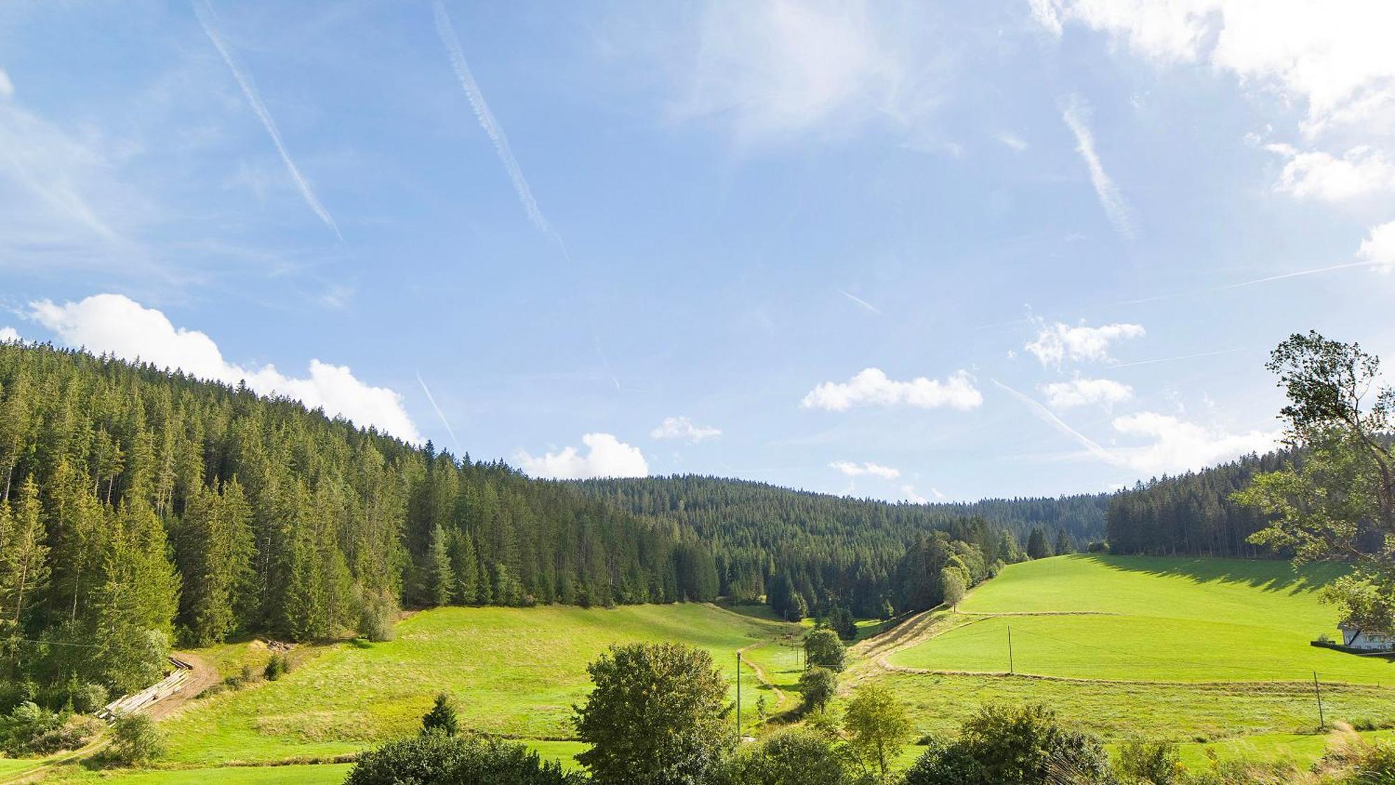 شقة Haus Zum Sternen Vöhrenbach المظهر الخارجي الصورة